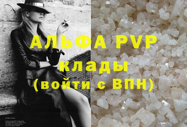 эйфоретик Бородино