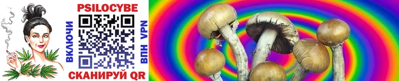 Галлюциногенные грибы Psilocybe  мега рабочий сайт  Калининград 